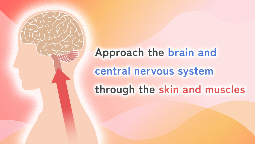 Approach the brain and central nervous system through the skin and muscles
